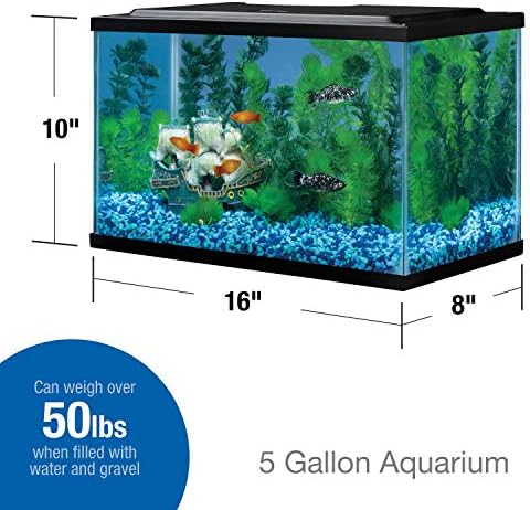 Tetra 5.5 Gallon Glass Aquarium, Rectangular Fish Tank