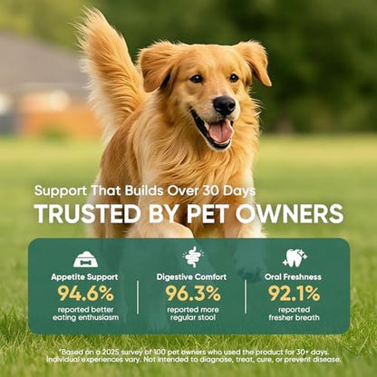 Probiotics for Dogs Gut Digestive Health Probiotic Chews 200 Ct Chicken