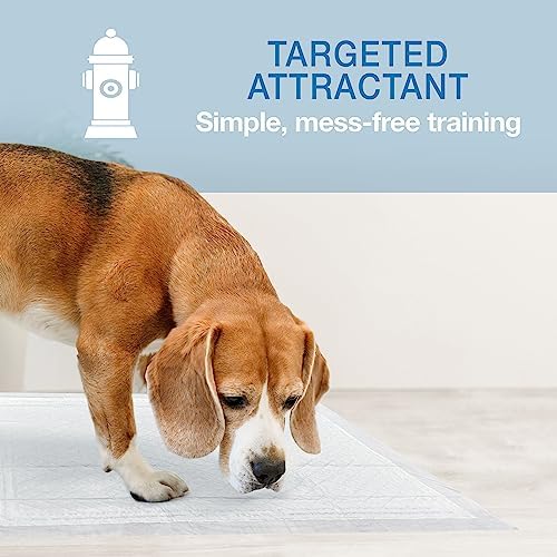 Four Paws Wee-Wee Super Absorbent Unscented Pee Pads for Dogs & Puppies with Insta-Rise Border, Leak-Proof Dog Housebreaking Potty Training Floor Protection, 22" x 23", 10 Count (Pack of 3)