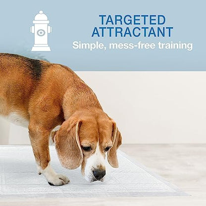 Four Paws Wee-Wee Super Absorbent Unscented Pee Pads for Dogs & Puppies with Insta-Rise Border, Leak-Proof Dog Housebreaking Potty Training Floor Protection, 22" x 23", 10 Count (Pack of 3)