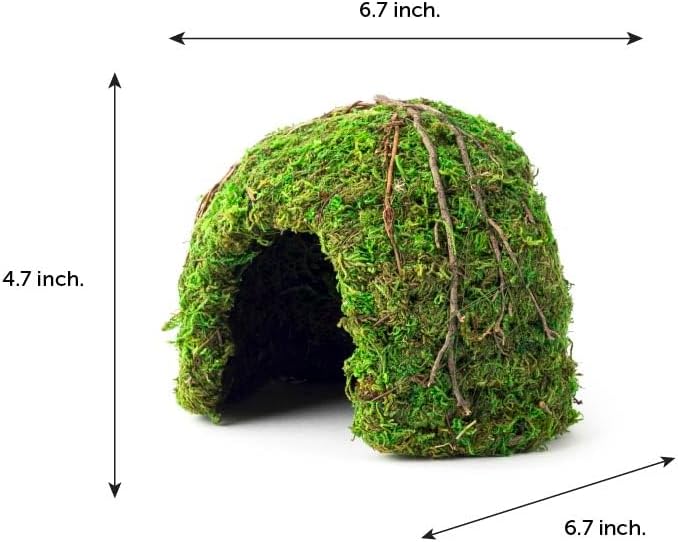 Galapagos (05366 Mossy Dome Hide, 6 in, Galápagos Green
