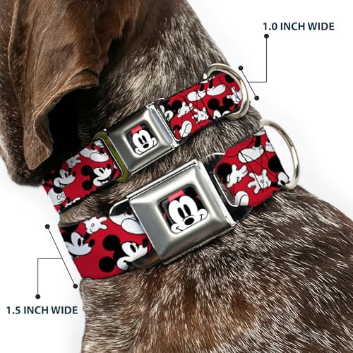 Buckle-Down Seatbelt Buckle Dog Collar - Steamboat Willie Scenes Film Strip White/Black - 1.5" Wide - Fits 16-23" Neck - Medium