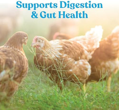 Manna Pro Hydro-Hen Poultry Electrolyte, Digestive & Probiotic, 8 oz