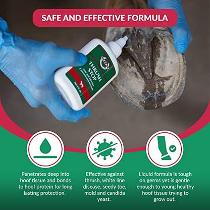 SBS Equine Thrush Treatment for Horses for the Finest Horse Care | The Horse-Journal’s Product of The Year and #1 Pick Against Hoof Thrush (4 Fluid Oz)