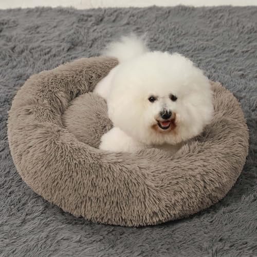 Hachikitty Calming Donut Cuddler Dog Beds, Medium & Large, 24''