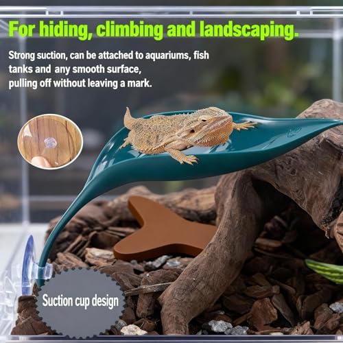5pcs Crested Gecko Tank Accessories, Wall Climbing Gecko,3pcs Grass Green Leaf Decorations and 2pcs Purple Feeding Spoons,Gecko Tank Accessories for Reptile Terrariums