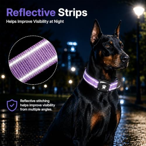 GPS Dog Collar with Tracker, Waterproof, No Monthly Fee, Purple, L