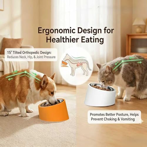 15° Tilted Dog Bowl for Small Dogs Flat-Faced Breeds - Anti-Choke Ergonomic Elevated Feeder Non-Slip Base - 2-in-1 Detachable Stainless Steel Food & Water Bowls - Classic Black Sleek Style (S, Black)