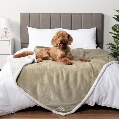 PetAmi Waterproof Dog Blanket for Large Dog Pet, 90x90 Queen, Taupe