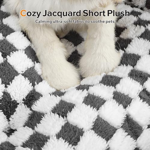 JOEJOY Dog Bed for Medium Small Dogs - Rectangle Orthopedic Dog Sofa Bed, Cute Modern Puppy Bed with Jacquard Shaggy Plush & Anti Slip Bottom, 25x21x8inches, Grey