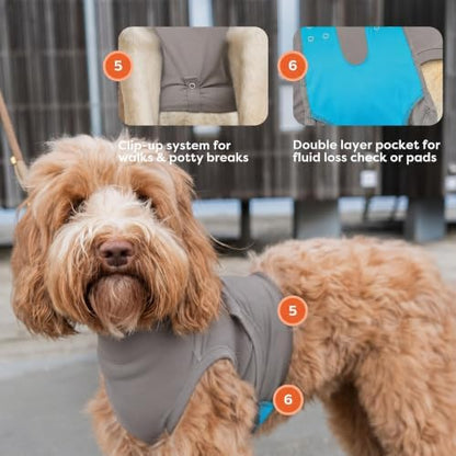 Suitical - The Original Dog Surgery Recovery Suit - Replace E-Collar & Cone - Spay, Neuter, Wounds, Prevent Licking - Medium+ - Neck to Tail 24–28.3in - Chest 29-39in - Weight 48-60lbs Sandstone Grey