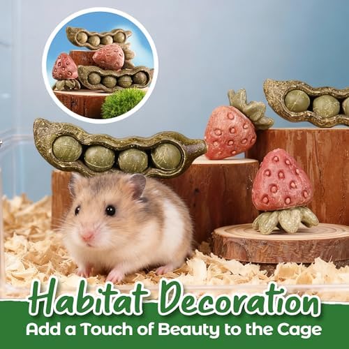 TEEWY 4PCS Guinea Pig Toys, Prevent Teeth Overgrowth, Natural Vegetables and Timothy Grass, Hamster Chew Toys, Guinea Pig Chew Toys, Chinchilla Toys, Peapod and Stawberry Chew Toy Set