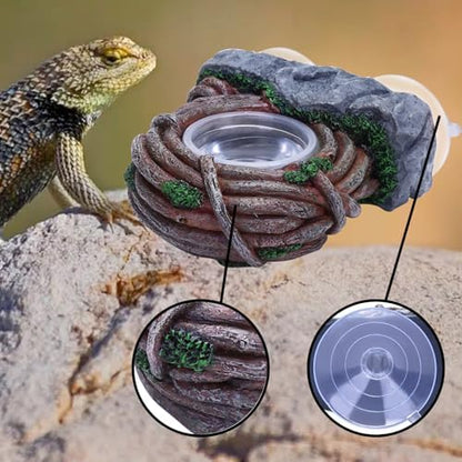 AIICIOO Vine Reptile Feeding Ledge Pet Food Bowl Water Dish Amphibian Feeder Bowl Reptile Terrarium Decor for Bearded Dragon Lizard Snake Frog Gecko Tortoise Hermit Crab