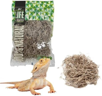 Spanish Moss for Terrarium Habitats, Small 1-Pack