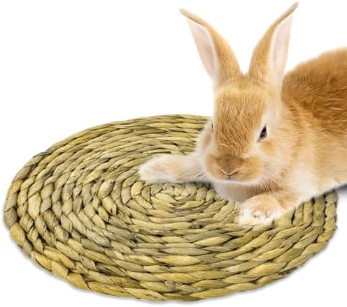 SunGrow Round Rabbit Grass Mat, Chew Toy for Guinea Pigs and Hamsters, Enclosure Bedding for Small Animals, Gnawing and Relaxation Hideout Spot, 8" x 0.7", 1 Pc    