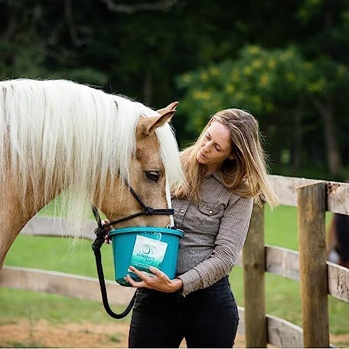 Gallagher's Water 12 Pack All-Natural Equine Hydration Treat - Enhancement Powder Mix Horse Drink Treat to Help Encourage to Drink Water - Made with All Natural Ingredients, FEI Compliant