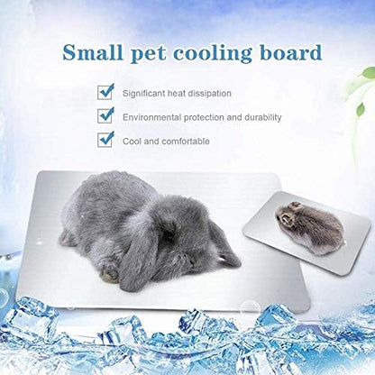 Rabbit Cooling Pad, Hamster Cooling Mat for Rabbit Bunny Hamster Guinea Pig & Other Small Pets Stay Cool -Pet Cool Plate Ice Bed