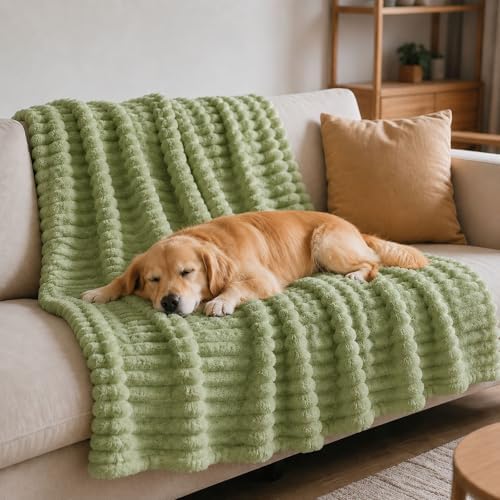Emotional Support Blanket for Dogs, Yellow Dog Blanket (Green,39x59in)