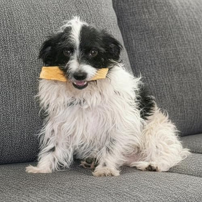 Fieldcrest Farms Nothin to Hide Flip Chips Dog Chews - Natural Rawhide Alternative Treats for Dogs, Collagen Based Snack for Moderate Chewers Up to 35lbs, Peanut Butter Flavor -1 Pack (8 Chips)