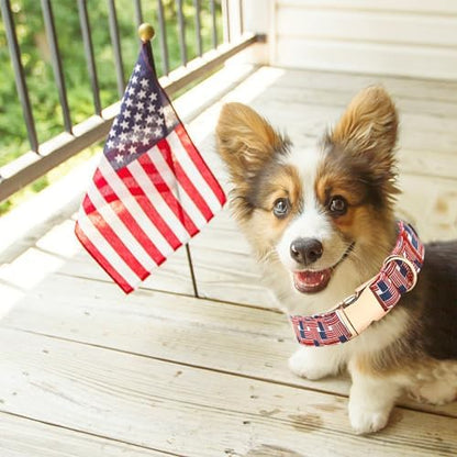 Independence Day Dog Collar, Summer Interwoven Flags Durable Metal Boy Dog Collars Adjustable Pet Collar for Small Medium Large Dogs