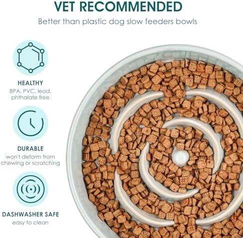 vancasso Slow Feeder Dog Bowls, 0.6 Cup Ceramic Puzzle Dish for Small Breed
