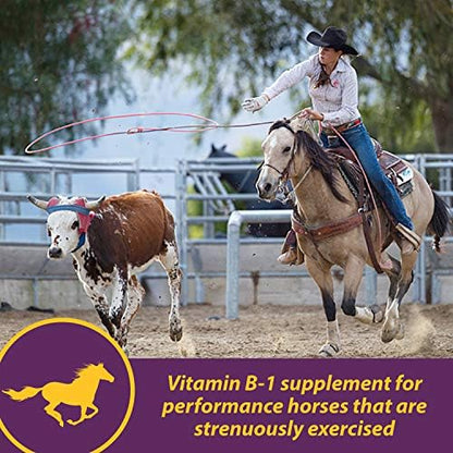 Farnam Horse Health Vita B-1 Crumbles Supplement for Horses, Supports Optimal Muscle Activity and Metabolism for Performance, 3 pounds, 48 Day Supply (Pack of 2)