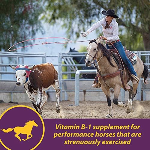 Farnam Horse Health Vita B-1 Crumbles Supplement for Horses, Supports Optimal Muscle Activity and Metabolism for Performance, 3 pounds, 48 Day Supply (Pack of 2)