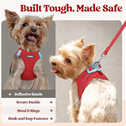 rabbitgoo Dog Harness Medium Sized and Leash Set, Step-in Puppy Pet Vest