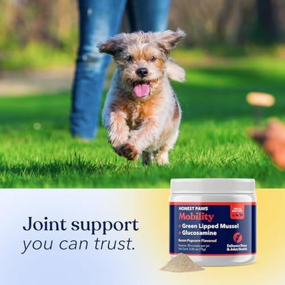 Hip and Joint Supplement for Dogs, Glucosamine, MSM & Mussel Powder, 2.65oz