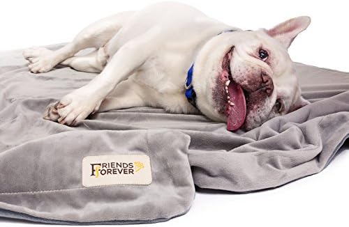 Friends Forever Dog Bed Blanket , Pets Blankets for Couch Sofa Protection