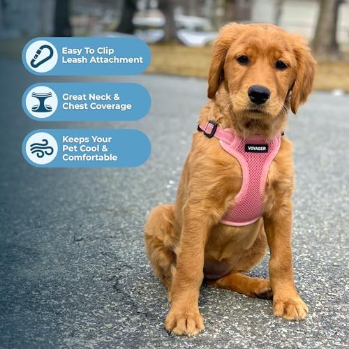Voyager Step-in Flex Adjustable Dog Harness - Pink, Large