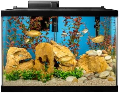 Tetra Complete 20 Gallon Fish Tank Kit for Freshwater & Saltwater Fish
