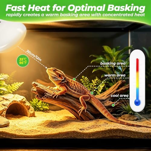 LUCKY HERP Reptile Heat Lamp Bulbs 75W, UVA Daylight Basking Bulbs 2 Pack