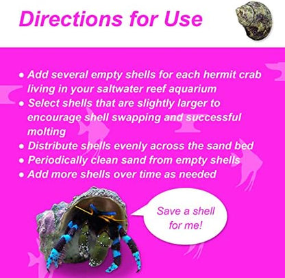 Reef Hermit Crab Shell Mix Spare Shells for Most Saltwater Hermit Crabs 12 OZ 1/2" - 2" Shells