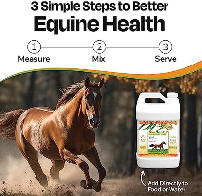 SeaBuck 7 Equine Sea Buckthorn Supplement for Horses, 1 Gallon