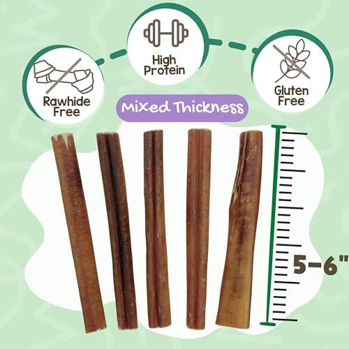 Nature Gnaws Bully Sticks 6" Long Lasting Rawhide Free Dog Chews, 1 lb