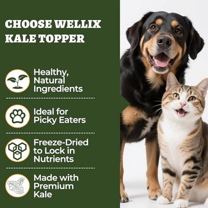 Wellix Freeze Dried Dog and Cat Food Toppers with Kale & Egg Yolk, 7.05oz