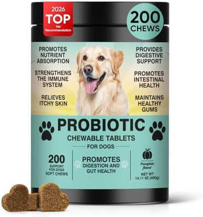 Probiotics for Dogs Gut Digestive Health Probiotic Chews 200 Ct Pumpkin