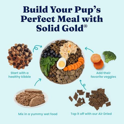 Solid Gold Beef Wet Dog Food, Meal & Topper, Adult & Puppies, 6ct Cans