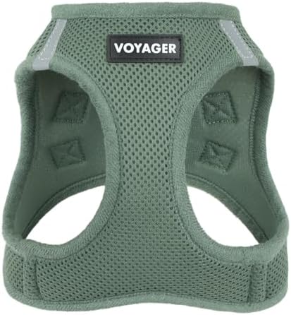 Best Pet Supplies - All Weather Mesh/Plush, Reflective, No Pull Harness for Small, Medium Dogs, Cats - Secure with Hook & Loop Fastener, Buckle, Double D-Rings - Moss Green, XS