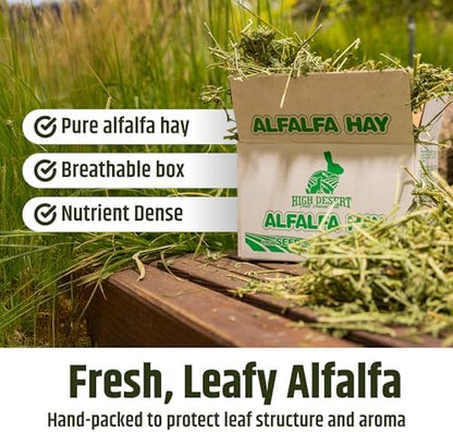 High Desert Alfalfa Hay for Young Rabbits and Guinea Pigs, 1 lb Box