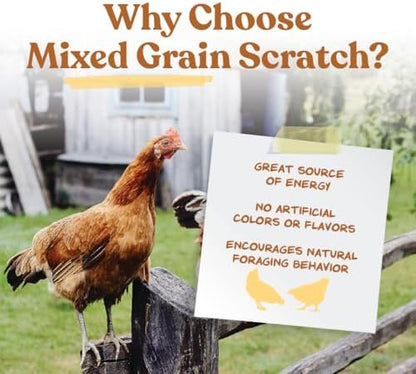 Manna Pro Ultimate Chicken Scratch Multigrain Treat, 10 lb Bag