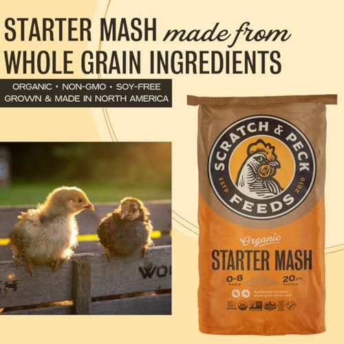 Scratch and Peck Feeds | Starter Mash for Chickens & Ducks | 40 lb Bag
