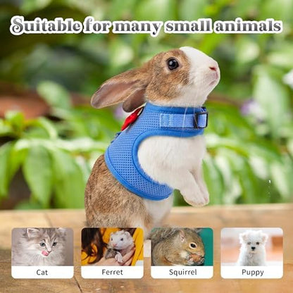 AIITLE Breathable Rabbit Harness and Leash Set with Cute Bow, Blue M