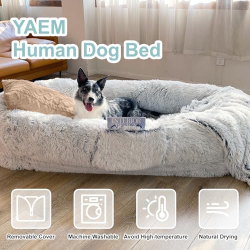 YAEM Human Dog Bed, 71"x45"x12" Calming Human Size Pet Bed for Adult, Grey