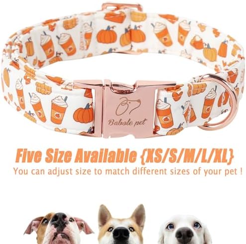 Fall Dog Collar for Medium Dogs - Fall Holiday Pumpkin Latte Printed Dog Collars, Adjustable Heavy Duty Pet Collar with Metal Buckle M