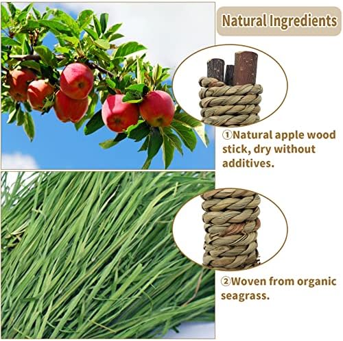 Fhiny 12 PCS Guinea Pigs Chew Toys, Natural Apple Branch Seagrass Molar Sticks for Teeth Bunny Chew Toys Cage Accessories for Guinea Pigs Rabbit Bunny Hamster Chinchilla