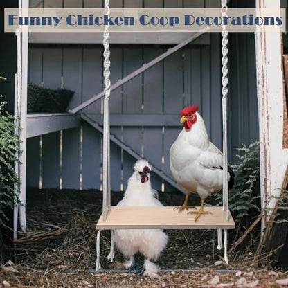 Chicken Swing Toy for Large Chicken Coop Accessories