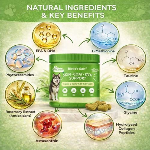 Biotic’s Gain Skin and Coat Supplement for Dogs | Collagen for Dogs