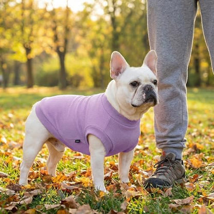 3 Pack Dog Shirt for Small Supplies Functional Waffle Dog Clothes Warm Soft Sweatshirt Outfit for Dogs Cats Pet Apparel